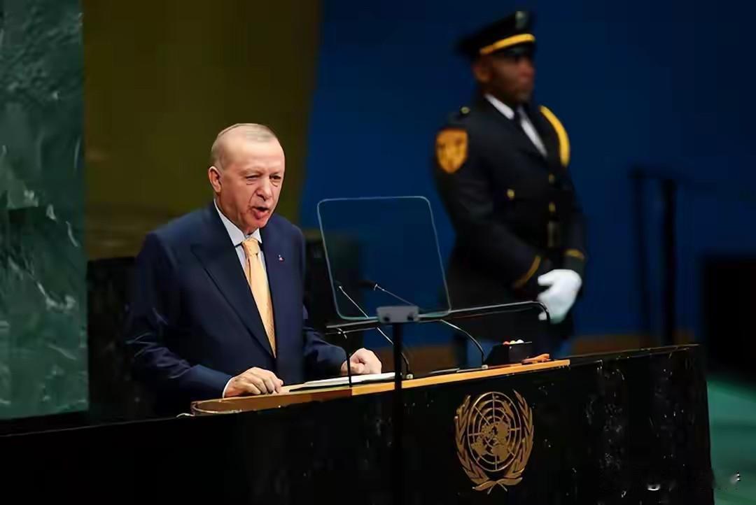 “世界190多个国家不能只受制于五个国家，这样对世界各国不公平也不合理，因此，联