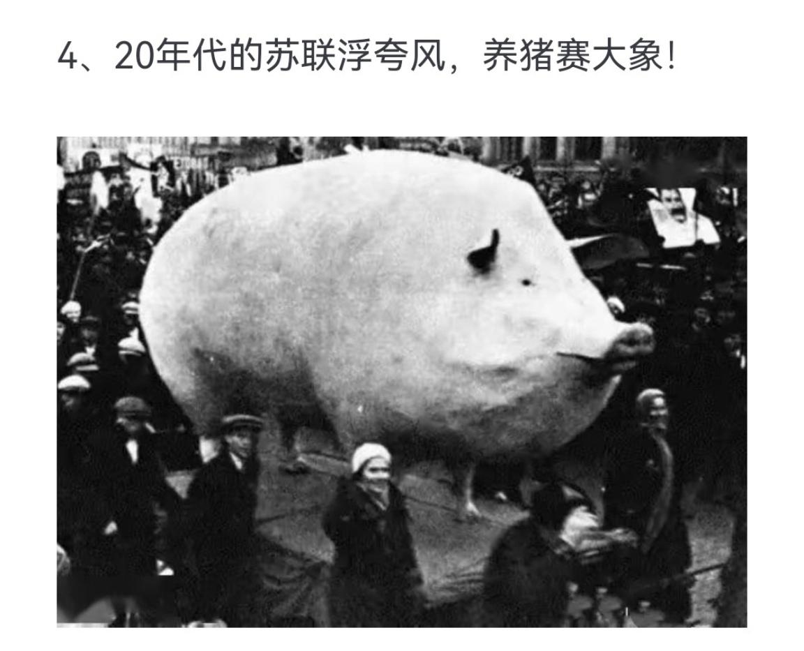 20年代的苏联浮夸风，养猪赛大象