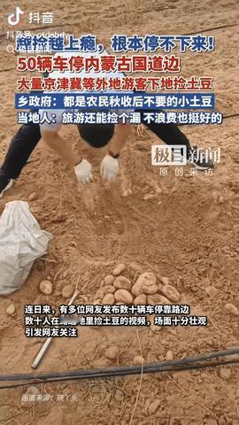 男子一家三口去内蒙古旅行，意外发现路边地里有很多土豆，然后他们就下车跑到地里捡土