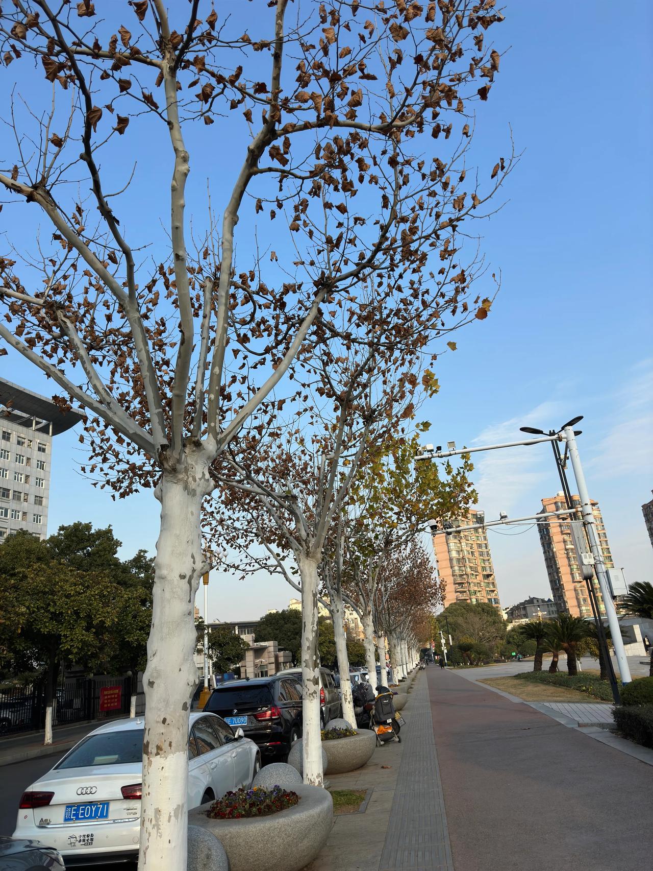老同事告知：他们在职的元月份工资还没到账呢，可能会和补发工资一起到账。

去广场