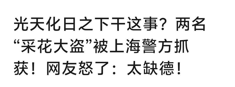 上海还有采花大盗！女孩子们看到可要大惊失色啦！
这事儿真让人无语，原来有采花大盗