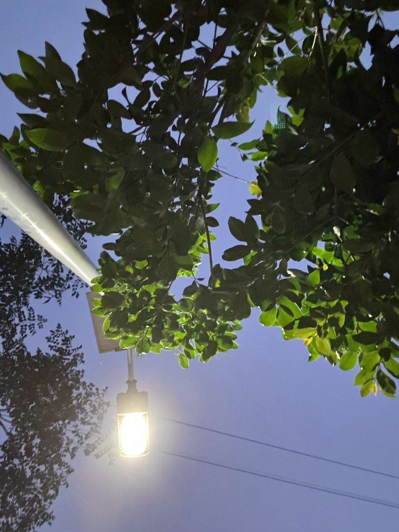 汪曾琪       《人间草木》如果你来访我，我不在，请和我门外的花坐一会儿，它