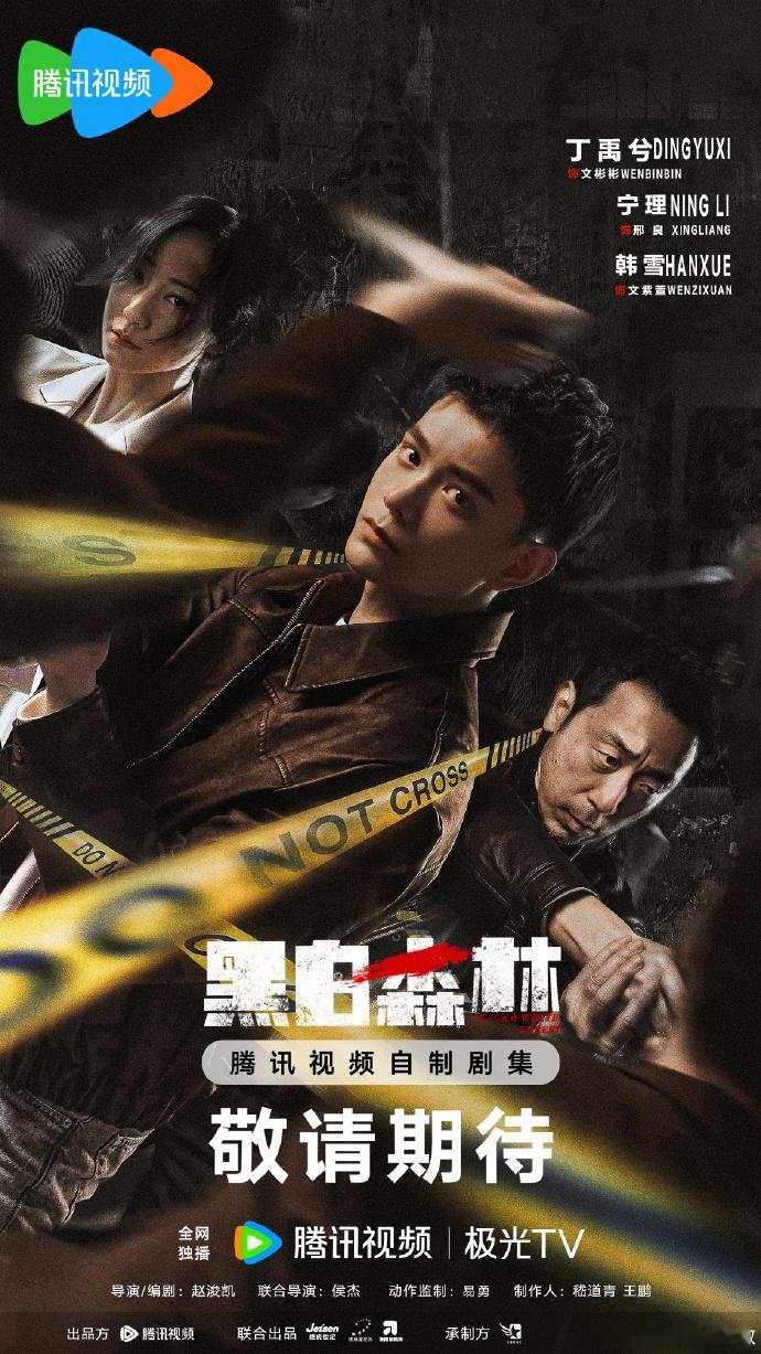 丁禹兮宁理主演黑白森林  要不怎么说还得是丁禹兮宁理，这两个人的合作带来了这份惊