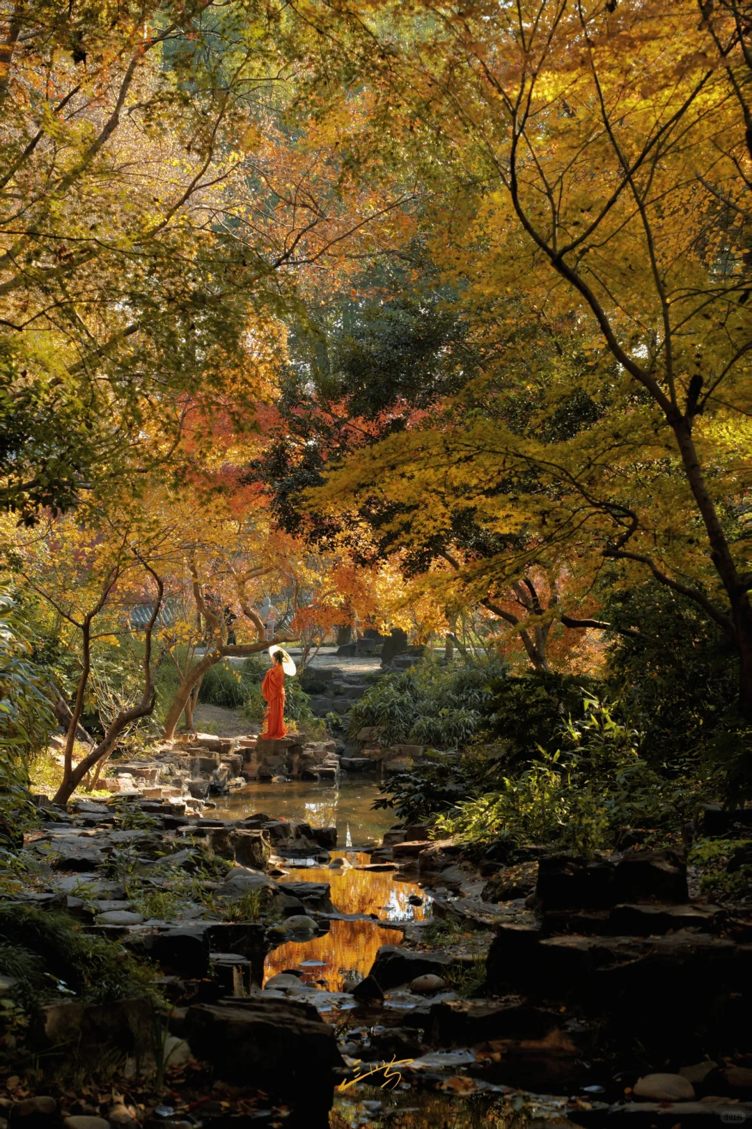 又见虎丘🍂这是小说里才有的画面吧‼️