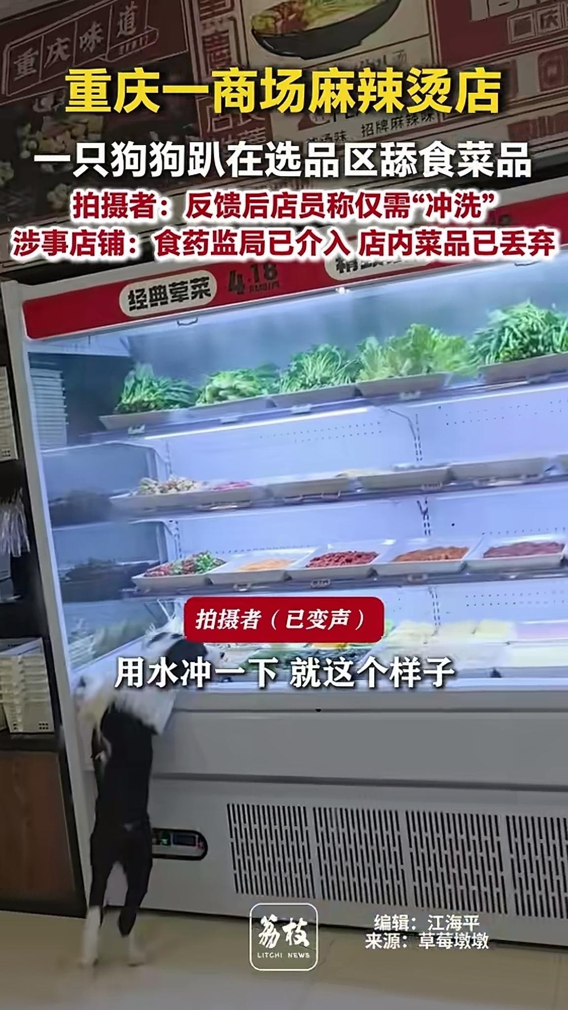 不知道从什么时候开始，狗成了我们社会矛盾问题了。重庆商场一家麻辣烫食物柜前，一只