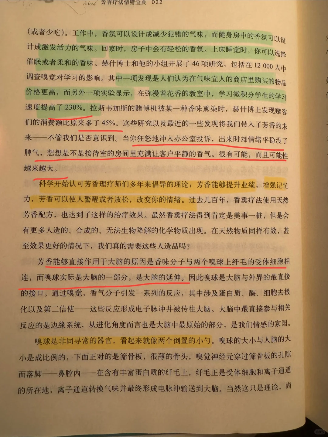 🧚🏻‍♂️未来的芳香生活：不止可以提升业绩