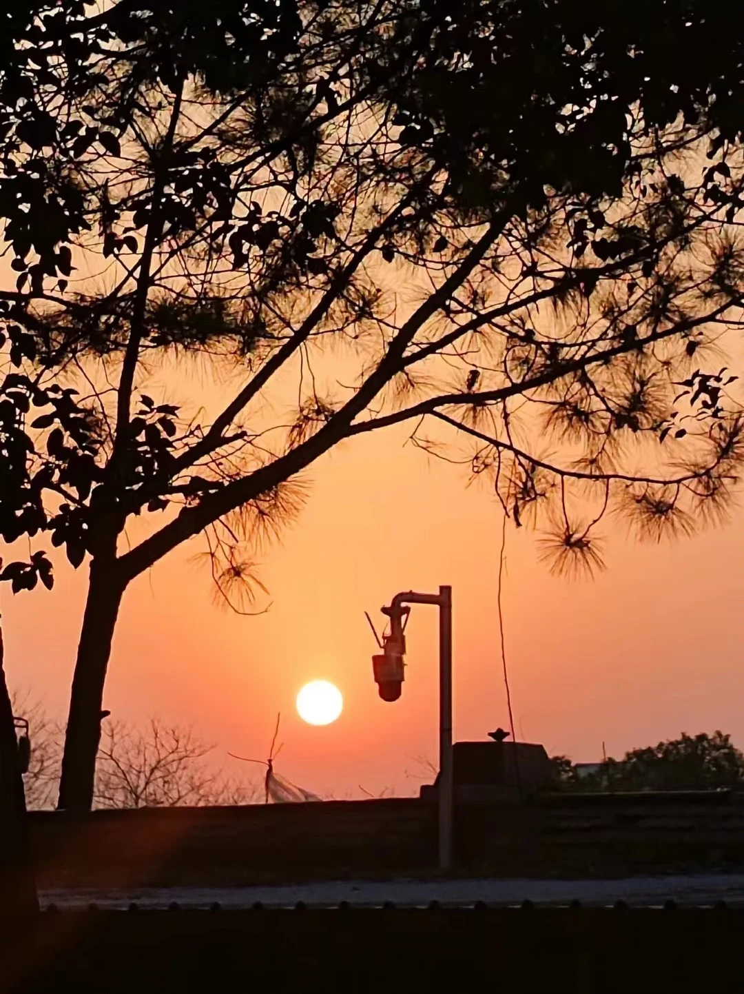 日落夕阳晚霞 美丽的黄昏