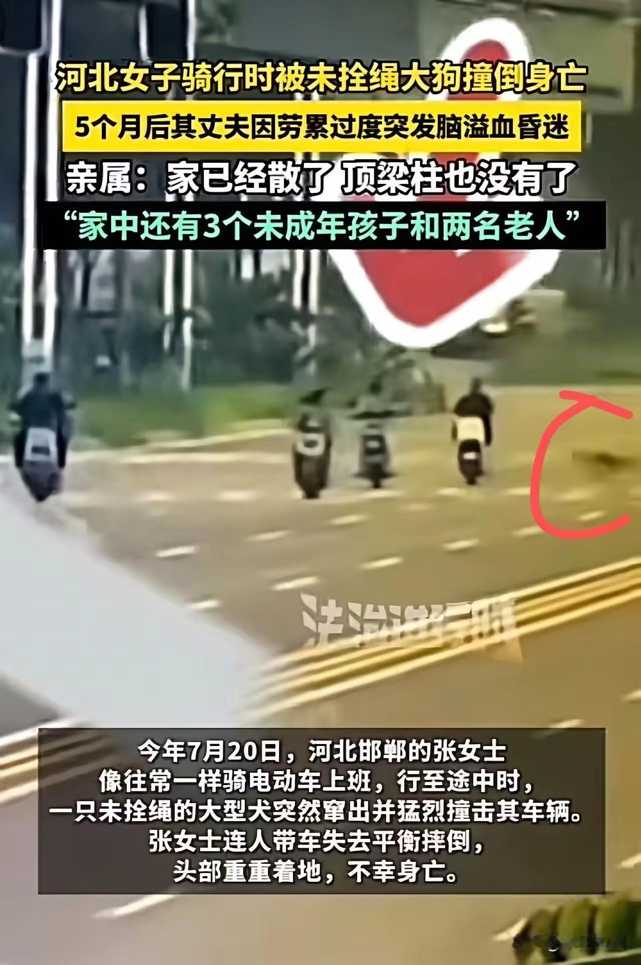 这是一则令人肝肠寸断的悲剧，让人久久无法释怀。河北有一名年轻女子在骑行途中，不幸