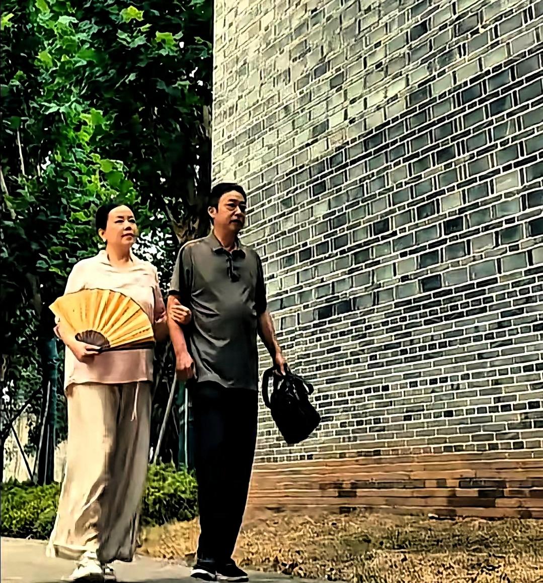 很多网友看完许妈姚爸最近两人散步的片段，直接认定他们打算放下所有事安享清闲。
