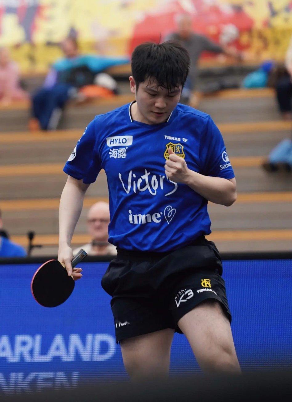 樊振东，马年继续全力以赴！每一次挥拍都是热血，每一分拼搏都是光芒。愿你赛场稳如泰