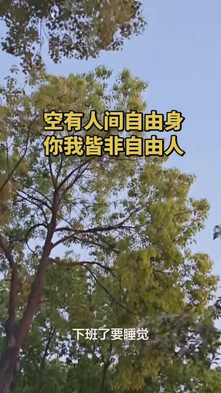 空有人间自由身，你我皆非自由人。
后来工作占据了我整个生活，起床了要上班，下班了