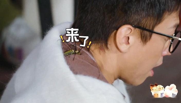 邓超现在节目玩儿这么大吗 邓超综艺感依旧在线，头顶毒蜘蛛硬核cos蜘蛛侠，玩得是