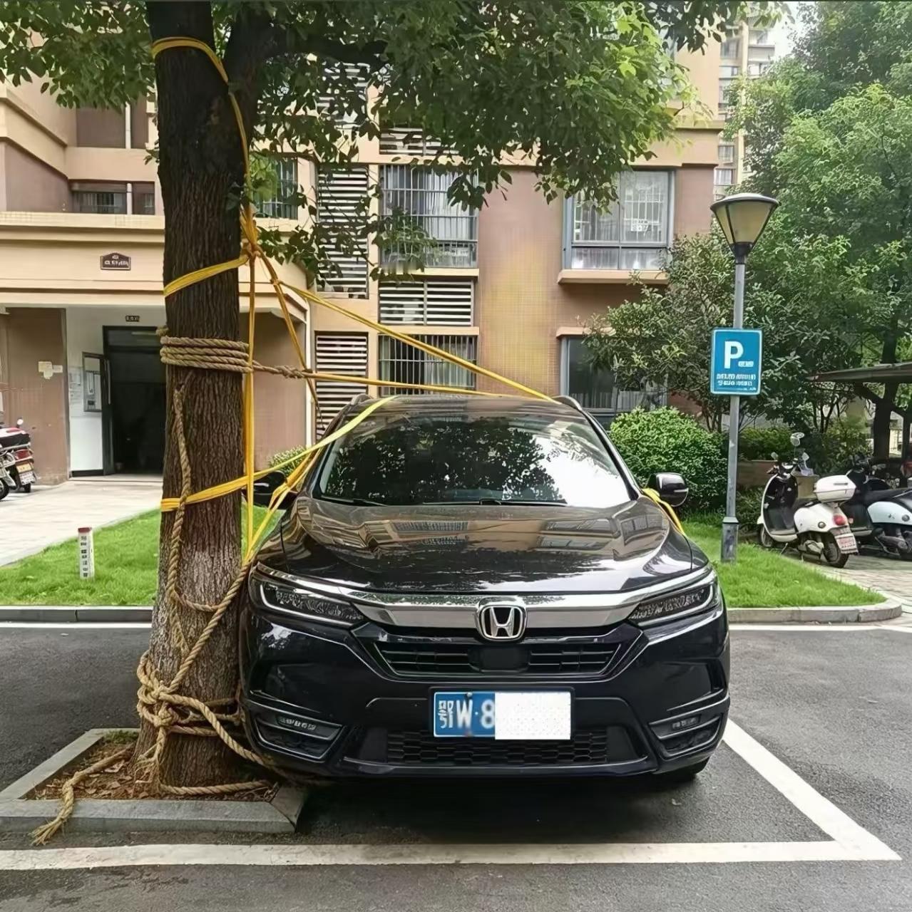 730字三段文稿
 听说台风要来了，武汉车已停好。
本田皓影车主担心车辆被他人挪