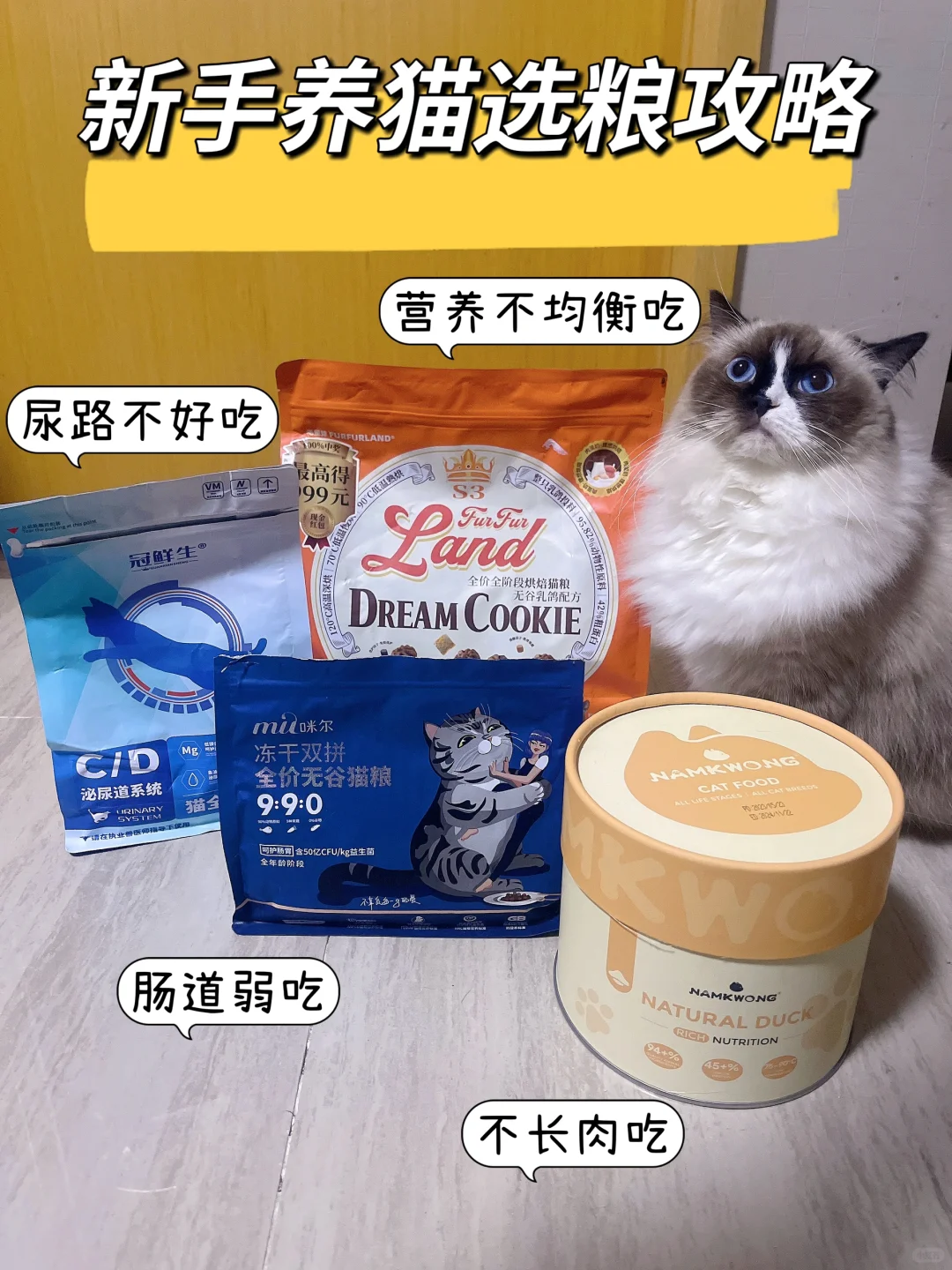 新手养猫猫粮怎么选？