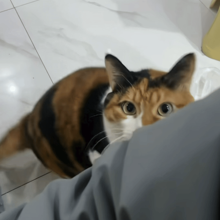 有啥区别… 