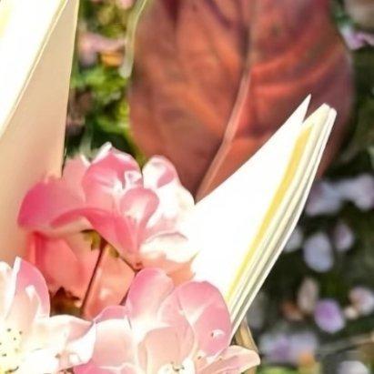 0000荔枝的种植方法：一、场地与品种选择荔枝是热带、亚热带果树，喜欢温暖湿润的