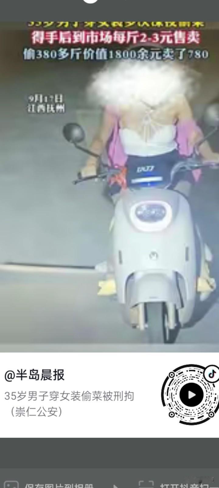 大胆毛贼，每天凌晨1点左右到农户家的菜园里偷菜，还奸诈的男扮女装嫁祸到女性身上。
