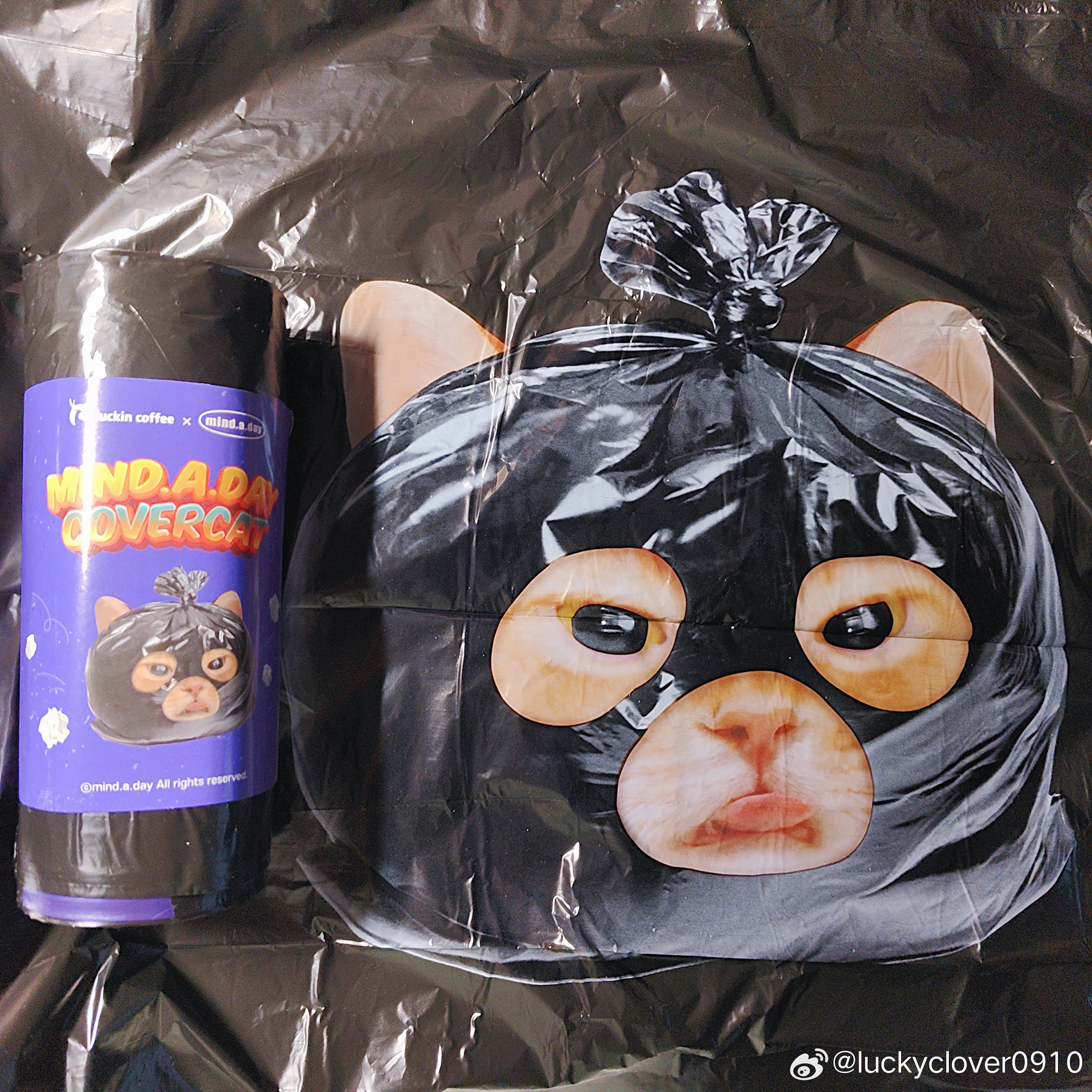 小黄油全冰美式 🧊🧊🧊这个垃圾袋笑鼠 打劫猫lucky的碎言碎语
