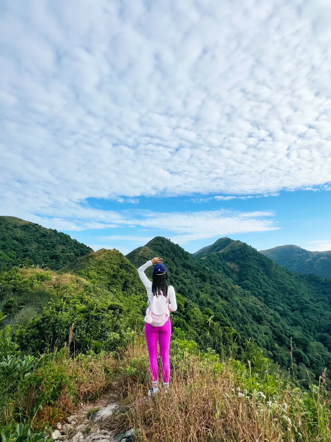 📍黃牛山·香港何處無芒草·何必非擠大東山🤩