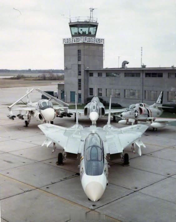 F-14当年绝对是美国海军一哥不知道它看到如今的美国海军会咋想烽火问鼎计划 ​​