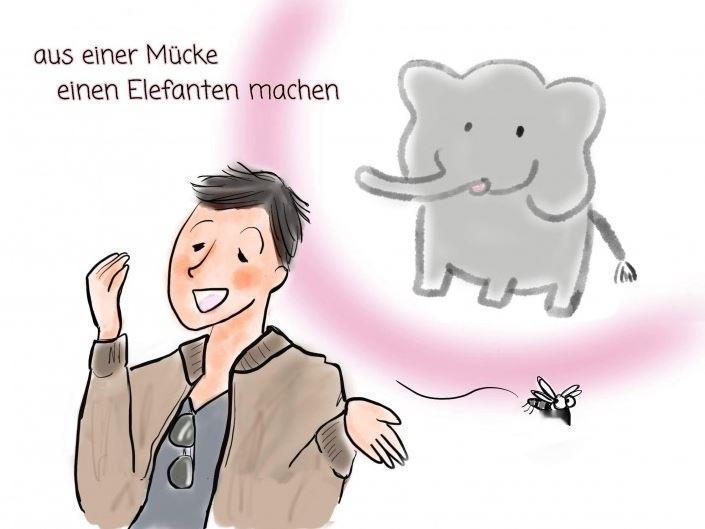 Aus einer Mücke einen Elefanten machen（小