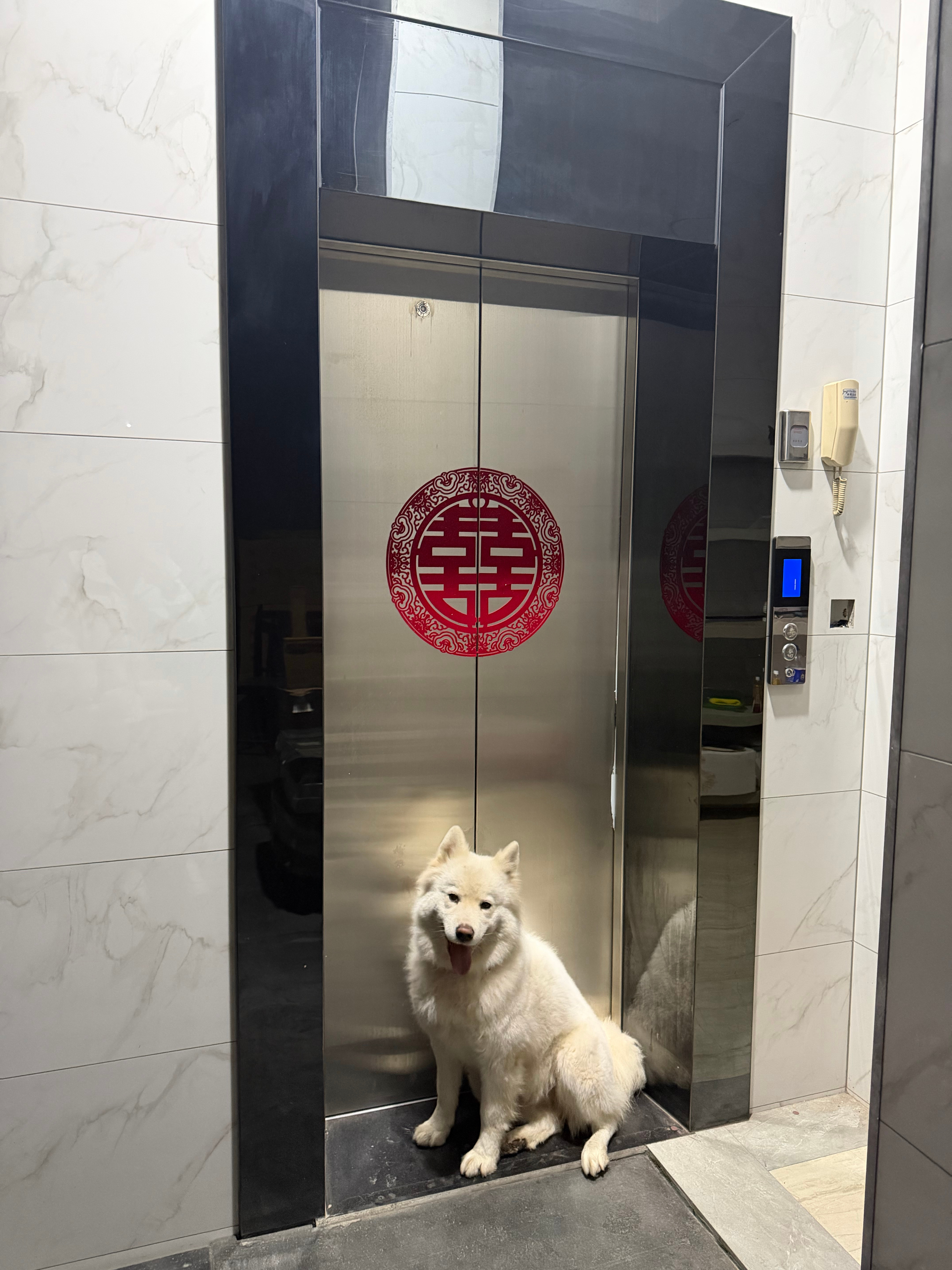 小欠吧蹬 下班回家巴不得给我直接送到床上 