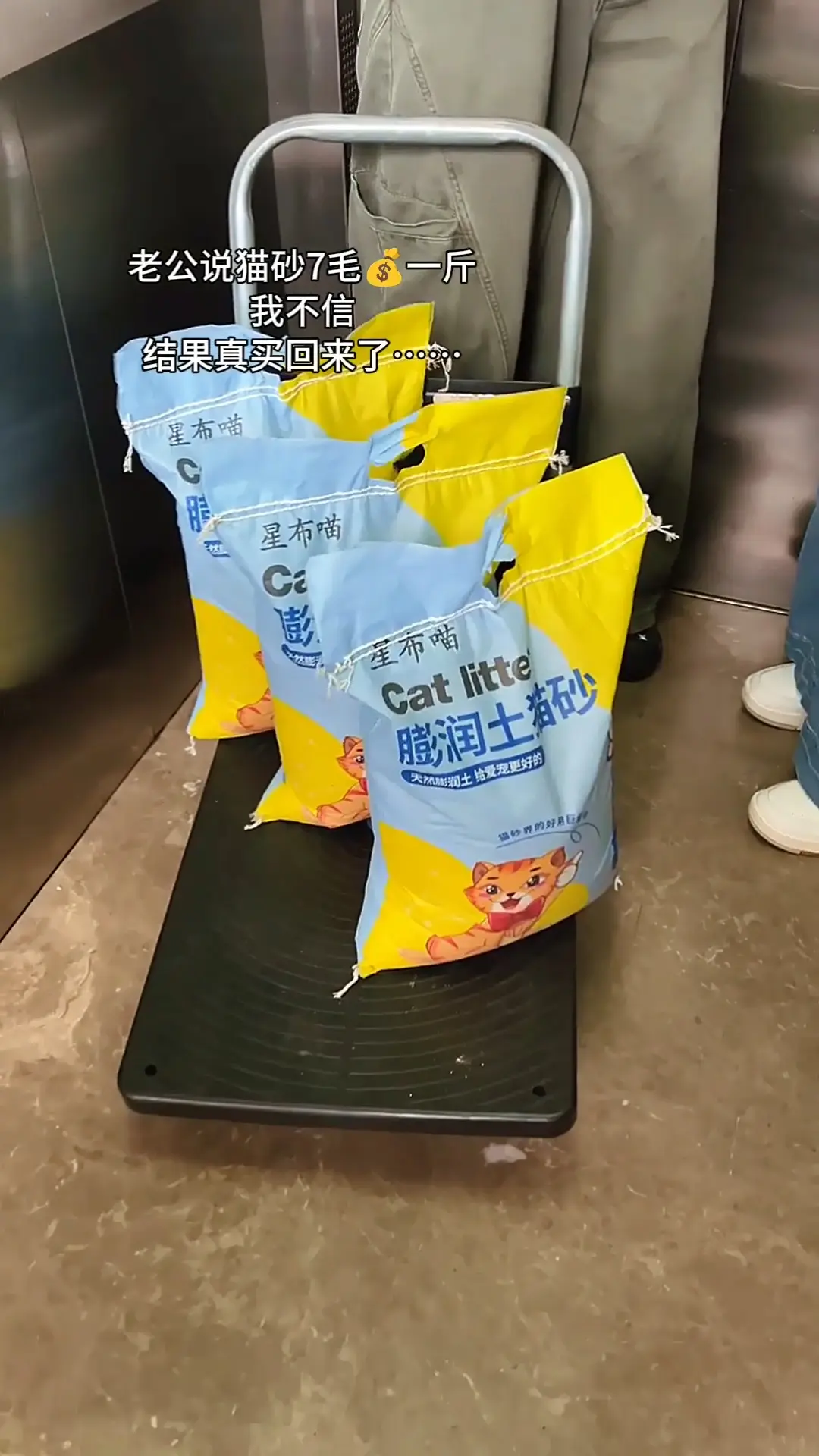 老公一气之下买了40斤猫砂