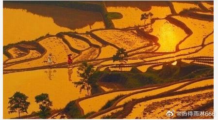 【浙西南括苍山】隐匿于浙西南括苍山脉雾气迷蒙的群峰深处，弯弯绕绕的盘山公路。人已