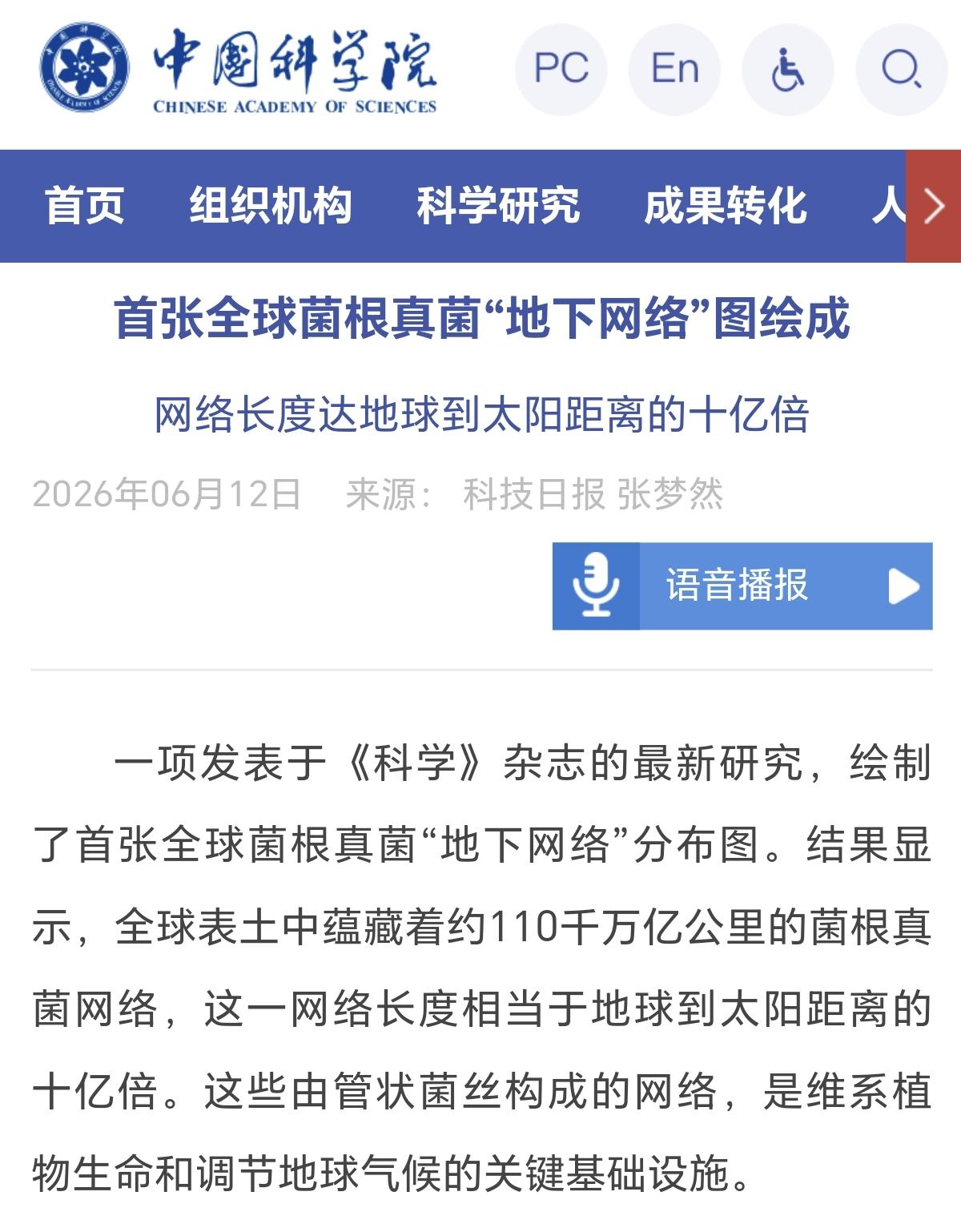 整个地球表层土壤里的菌根真菌的菌丝总长度竟然达到了11600万光年，这一网络长度