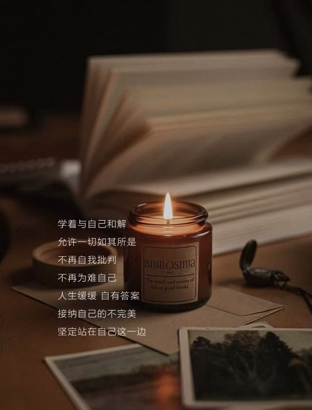 谢谢姐妹们发给我的图片，有被安慰到。即将到来的2025年，愿我们都允许一切发生，