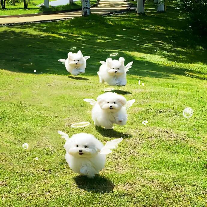 朋友圈背景图换起来 