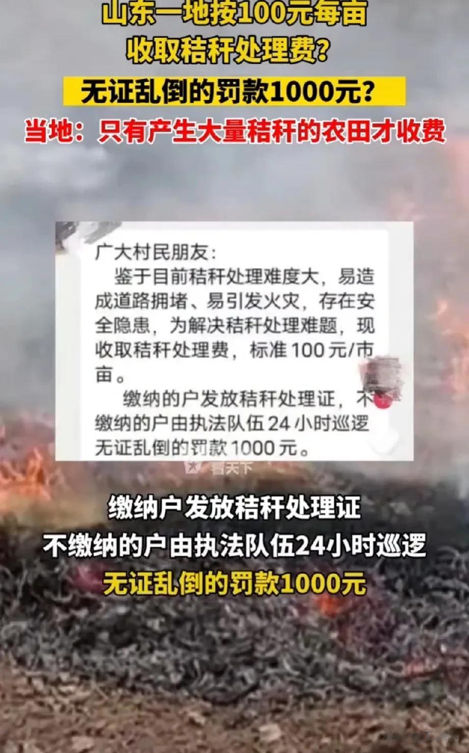 大开眼界！

刚刷到一条消息，“山东青州孙东村向村名收取秸秆处理费”，收费标准是