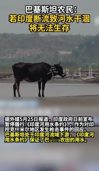 假如印度一直关闸不放水，巴基斯坦能做什么呢？
这么说吧，如果再不放水，最先完蛋的