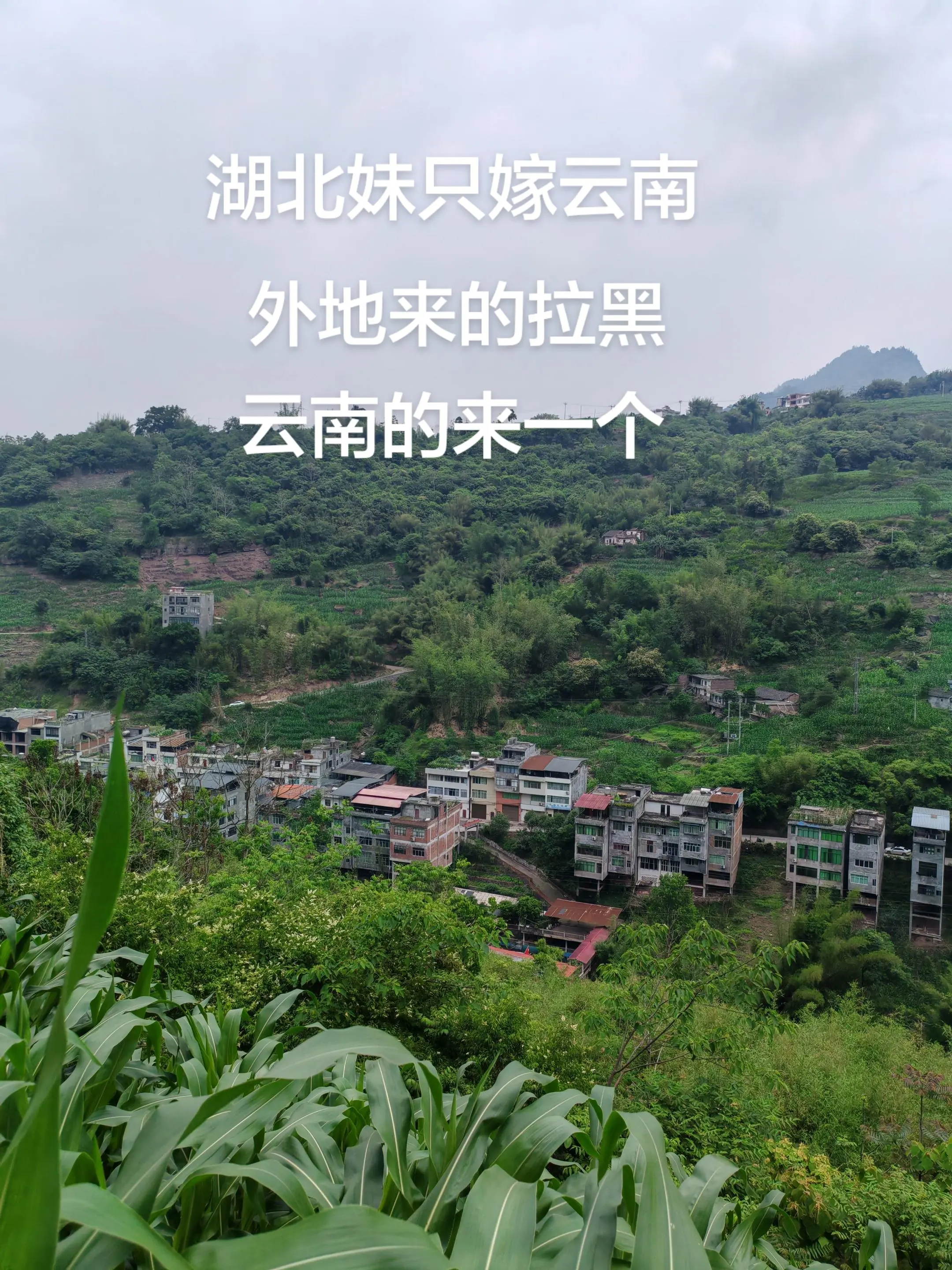 湖北妹只嫁云南，外地来的拉黑，云南的来一个