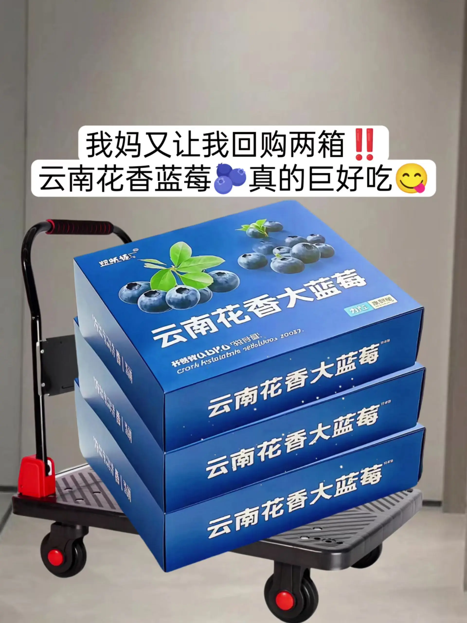 董老师强烈推荐的云南花香蓝莓！咬下的瞬间，饱满果肉裹挟着汁水在齿间爆开...