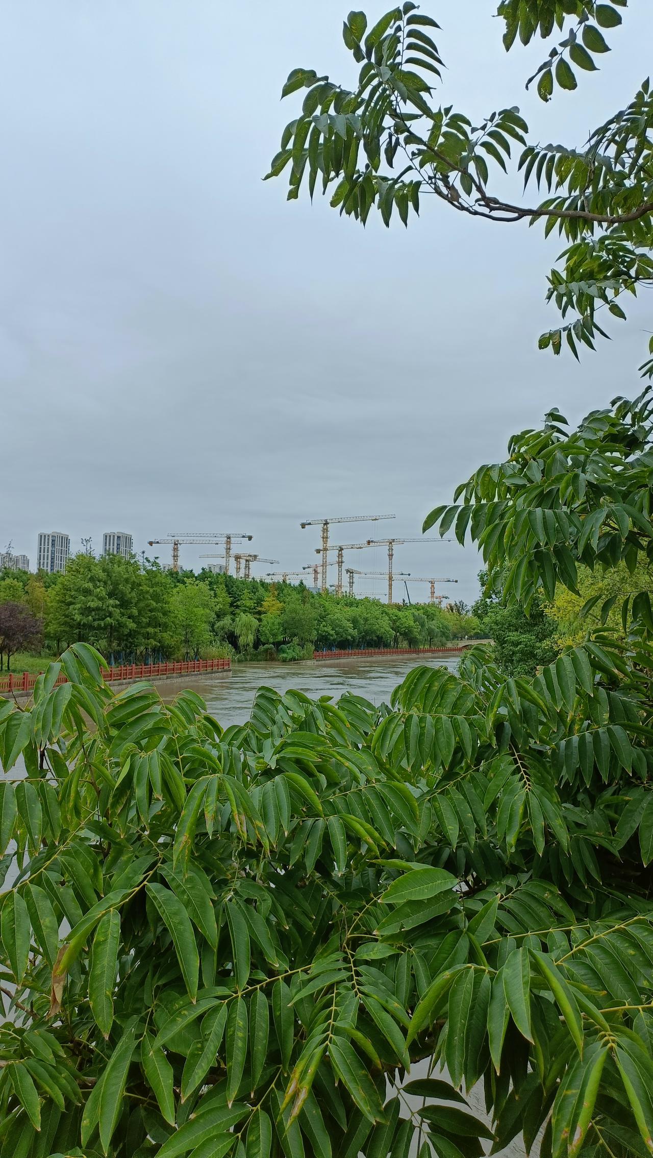 河边绿树成荫，远处有建筑工地。

上联：岸柳铺阴凉浸袖，
下联：遙看塔吊出林梢。
