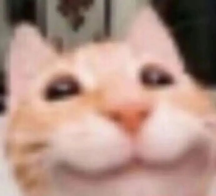 你说天降一个粉运的可能性有多大 