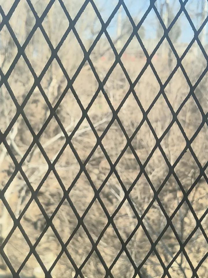 人到中年才懂，真正的贵人，从来不是别人，而是自己
 
早该明白的道理，
却是人到