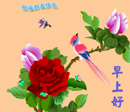 好运陪你一帆风顺
快乐陪你一日三餐
平安陪你一年四季
健康陪你一生一世