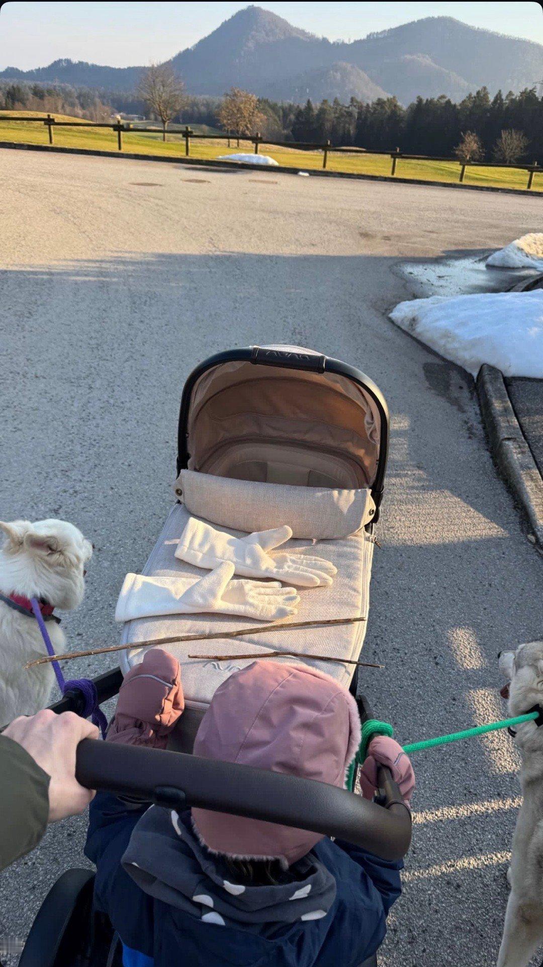 好久不见呀公主们东契奇东契奇