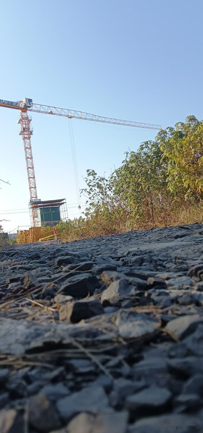 冬晨的雾霭还未散尽，暖阳已穿透云层，给黛瓦覆霜的屋檐镀上金边。光线漫过窗棂，落在