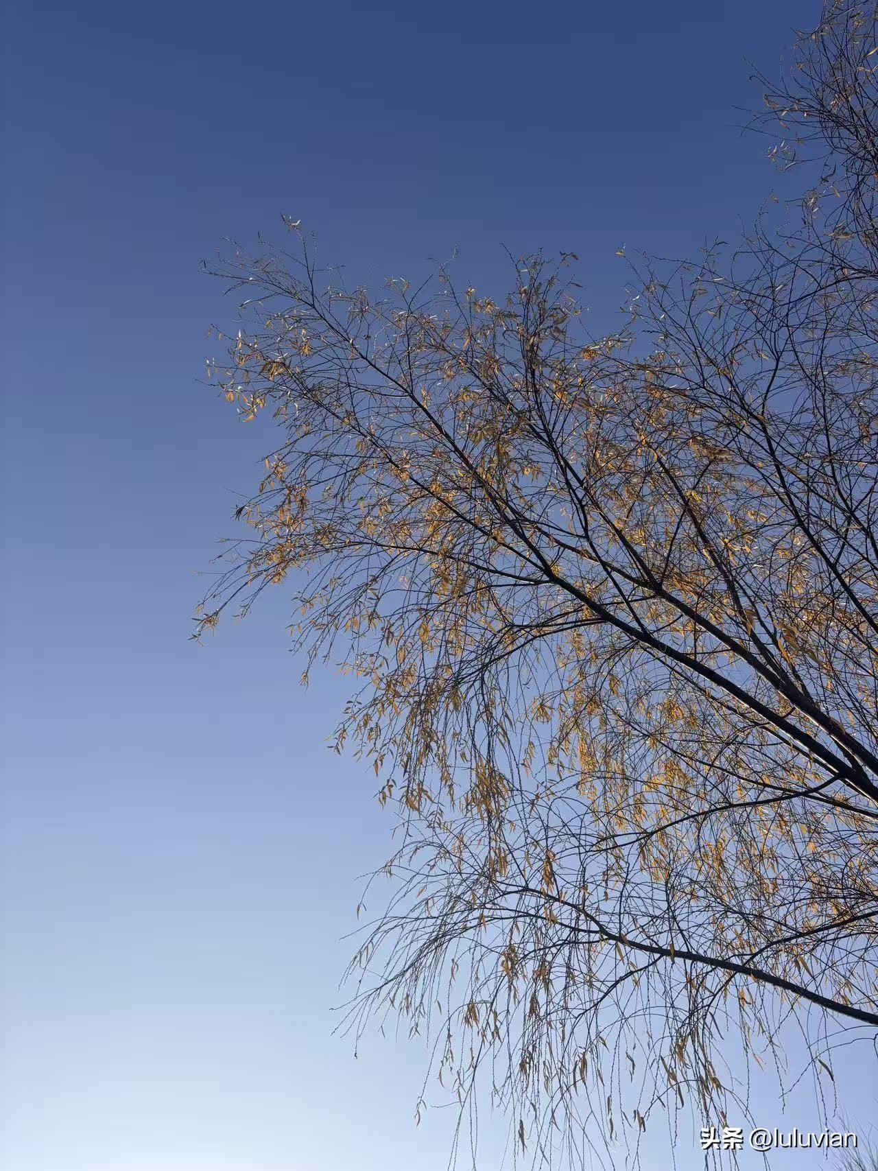 眼看他起高楼，眼看他人散了。
今天约好久没见面的朋友出来吃饭，才得知他们集团最近