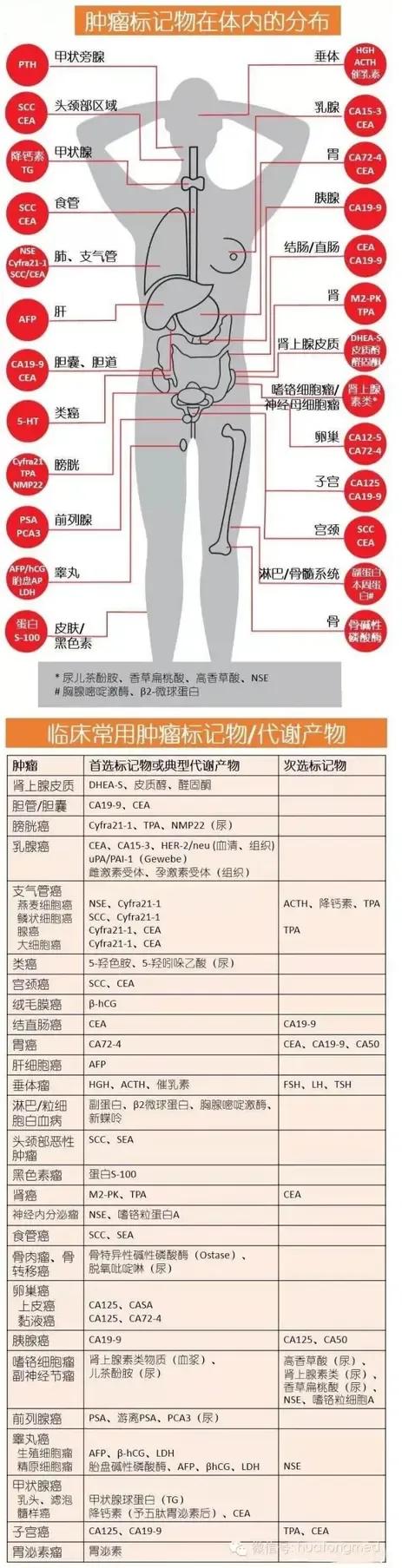 《肿瘤标志物的解读》
 
肿瘤标志物是指在肿瘤发生和增殖过程中，由肿瘤细胞本身合