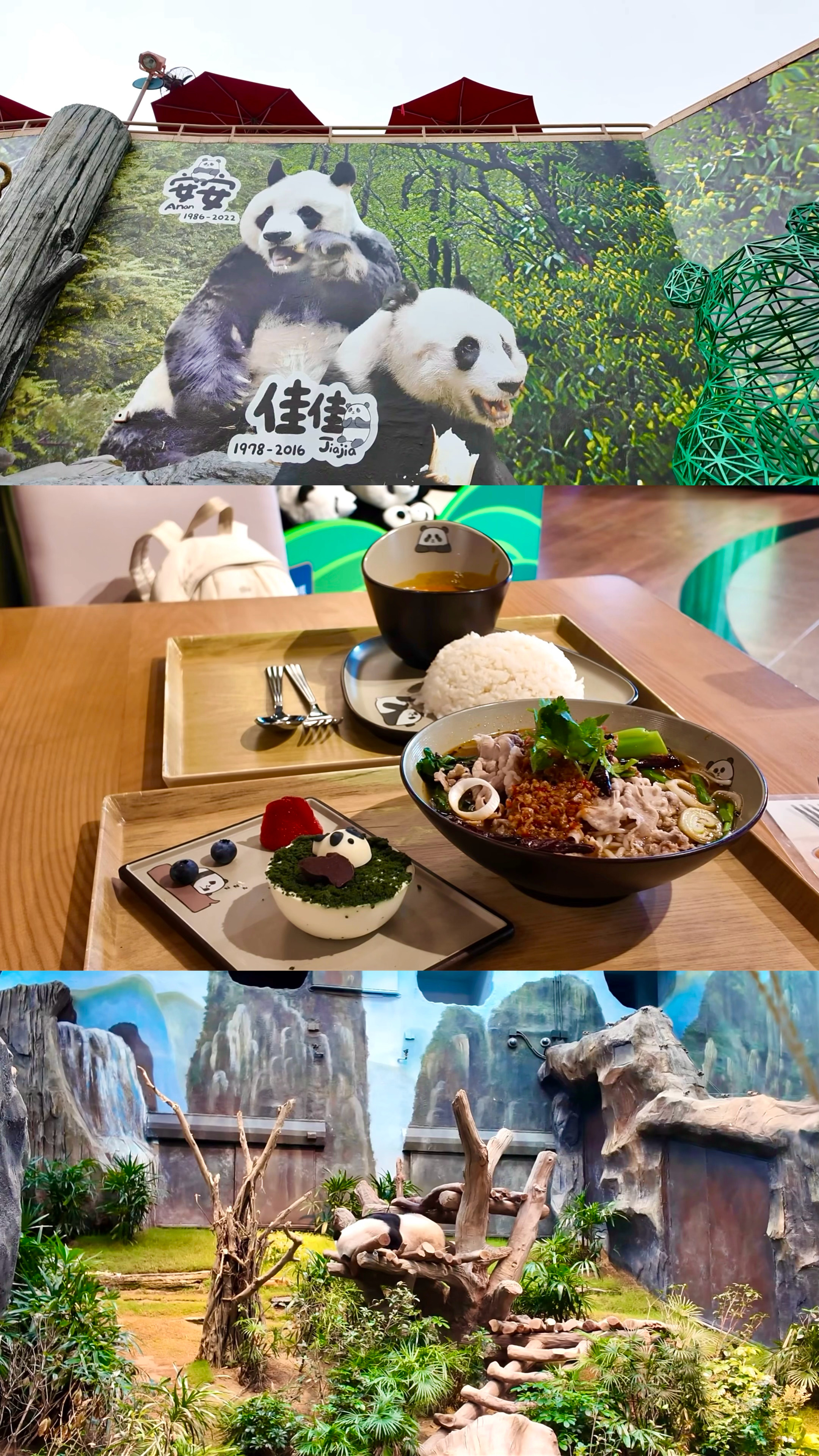 熊猫丸子🐼 香港·香港海洋公园