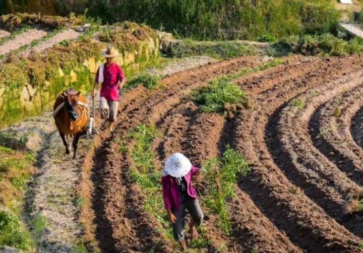 ，下联你来对
根据对联的基本规则（字数相同、词性相对、平仄协调、意思相关），我为