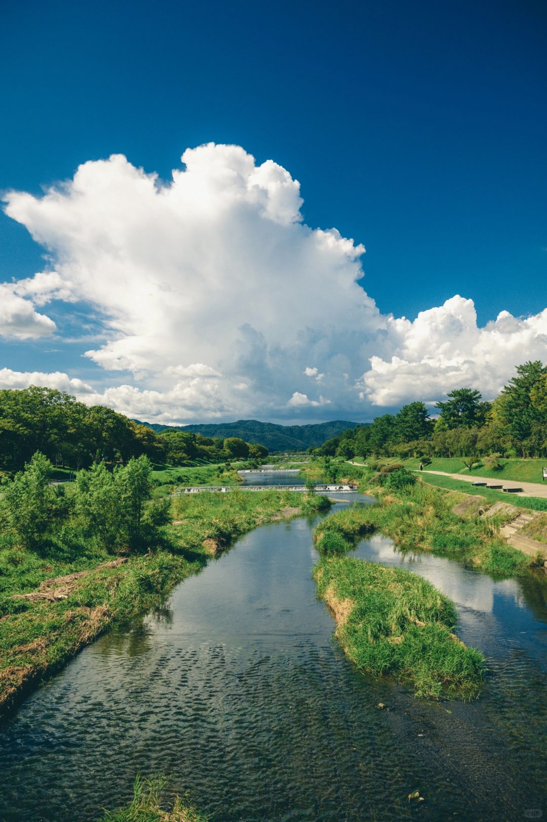 日本关西9⃣️日游，鸭川真的好像动漫一样☁️