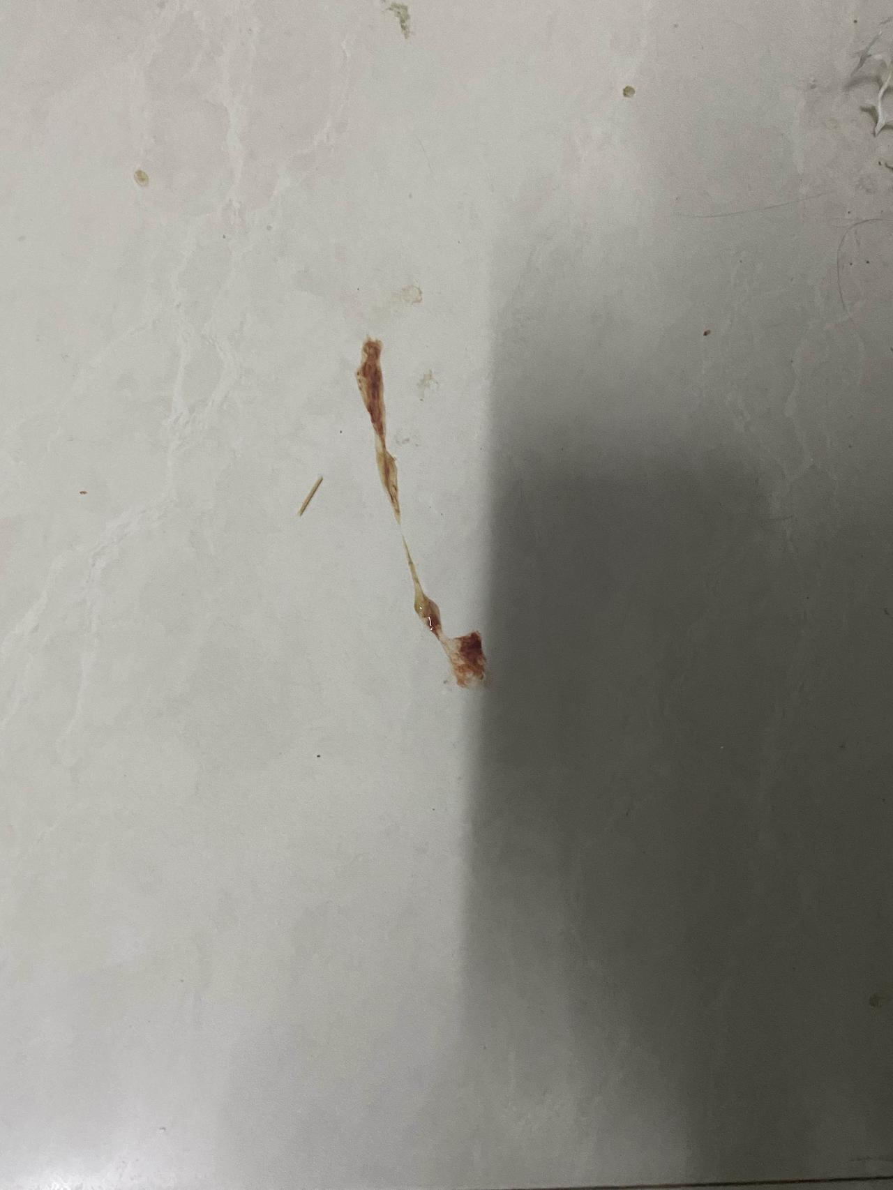 不是黄水，末端像是还带着点血丝。我蹲在地上，她没看我，尾巴尖一甩一甩的，完全没把