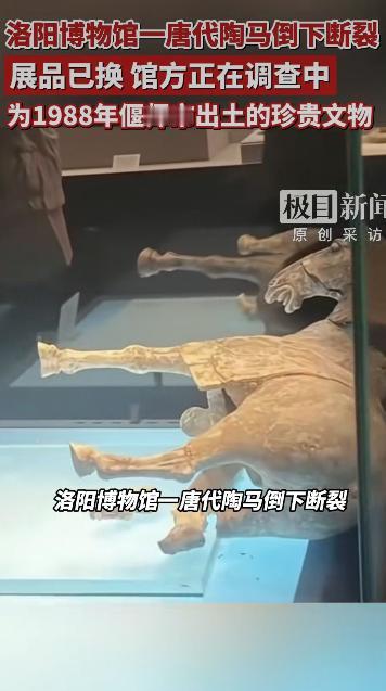 洛阳博物馆出了一件让不少文物爱好者揪心的事儿有网友发帖说，馆里一匹唐代彩绘贴金陶
