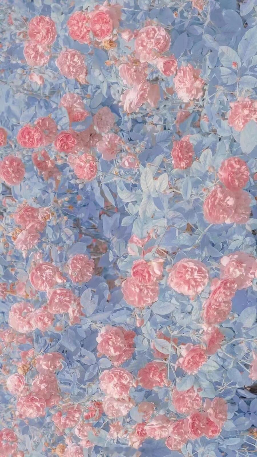 纵使流年飞逝，芳华老去。 我始终爱你，一如往昔。—— 非天夜翔《金牌助理》#晚安