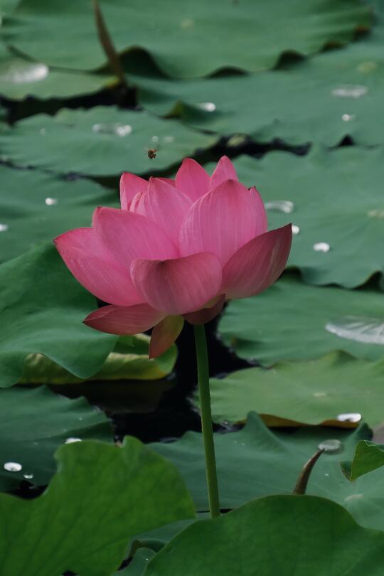 少走三十年弯路